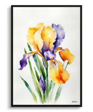 Fleur-de-lis Watercolour Botanical Art Print - Iris Minimalist Framed Plant Wall Art