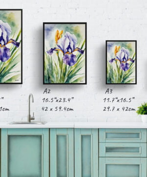 Fleur-de-lis Watercolour Botanical Art Print - Iris Framed Plant Wall Art 17 Fleur-de-lis Watercolour Botanical Art Print - Iris Framed Plant Wall Art - Image 4