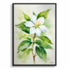 Jasminum officinale Watercolour Botanical Art Print - Jasmine Framed Plant Wall Art 2 watercolour botanical print flowers jasmine front view