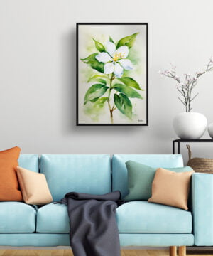 Jasminum officinale Watercolour Botanical Art Print - Jasmine Framed Plant Wall Art 15 Jasminum officinale Watercolour Botanical Art Print - Jasmine Framed Plant Wall Art - Image 2