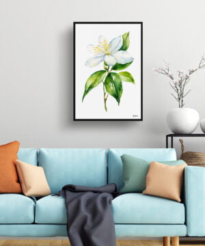 Jasminum officinale Watercolour Botanical Art Print - Jasmine Minimalist Framed Plant Wall Art 15 Jasminum officinale Watercolour Botanical Art Print - Jasmine Minimalist Framed Plant Wall Art - Image 2