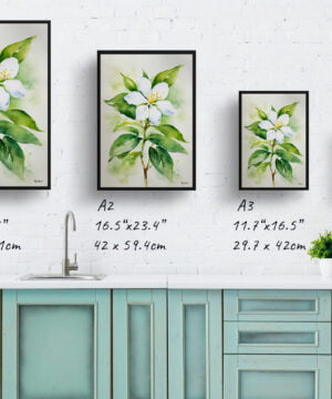 Jasminum officinale Watercolour Botanical Art Print - Jasmine Framed Plant Wall Art 17 Jasminum officinale Watercolour Botanical Art Print - Jasmine Framed Plant Wall Art - Image 4