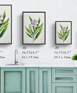 Bay Laurel Flower Watercolour Botanical Art Print - Minimalist Framed Plant Wall Art 17 Bay Laurel Flower Watercolour Botanical Art Print - Minimalist Framed Plant Wall Art - Image 4