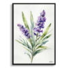 English Lavender Watercolour Botanical Art Print - Minimalist Framed Plant Wall Art 1 watercolour botanical print flowers lavender minimalist front view