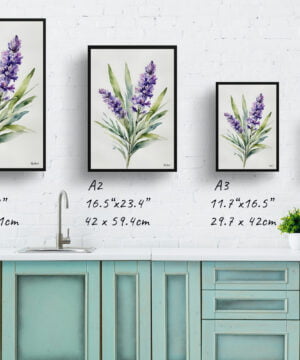 English Lavender Watercolour Botanical Art Print - Minimalist Framed Plant Wall Art 17 English Lavender Watercolour Botanical Art Print - Minimalist Framed Plant Wall Art - Image 4