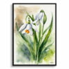 Giant Summer Snowflake Watercolour Botanical Art Print - Leucojum aestivum Framed Plant Wall Art 2 watercolour botanical print flowers leucojum aestivum gravetye giant front view