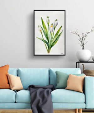 Giant Summer Snowflake Watercolour Botanical Art Print - Leucojum Aestivum Gravetye Minimalist Framed Plant Wall Art 15 Giant Summer Snowflake Watercolour Botanical Art Print - Leucojum Aestivum Gravetye Minimalist Framed Plant Wall Art - Image 2