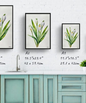 Giant Summer Snowflake Watercolour Botanical Art Print - Leucojum Aestivum Gravetye Minimalist Framed Plant Wall Art 17 Giant Summer Snowflake Watercolour Botanical Art Print - Leucojum Aestivum Gravetye Minimalist Framed Plant Wall Art - Image 4