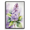 French Lilac Watercolour Botanical Art Print - Framed Plant Wall Art 2 watercolour botanical print flowers lilac front view