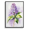 French Lilac Watercolour Botanical Art Print - Minimalist Framed Plant Wall Art 1 watercolour botanical print flowers lilac minimalist front view