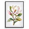 Evergreen Bull Bay Magnolia Watercolour Botanical Art Print - Minimalist Framed Plant Wall Art 1 watercolour botanical print flowers magnolia minimalist front view