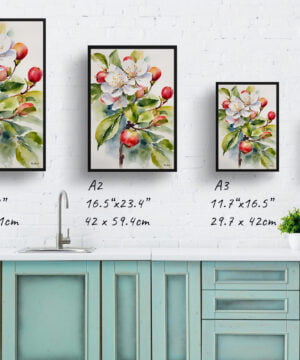 Howgate Wonder Apple Watercolour Botanical Art Print - Malus Domestica Framed Plant Wall Art 17 Howgate Wonder Apple Watercolour Botanical Art Print - Malus Domestica Framed Plant Wall Art - Image 4