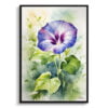 Morning Glory Blue Watercolour Botanical Art Print - Ipomoea Purpurea Framed Plant Wall Art 1 watercolour botanical print flowers morning glory front view