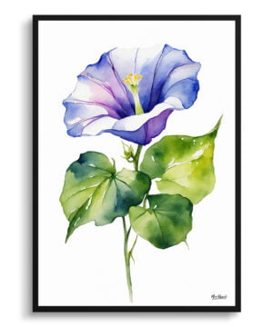 Morning Glory Blue Watercolour Botanical Art Print - Ipomoea Purpurea Minimalist Framed Plant Wall Art