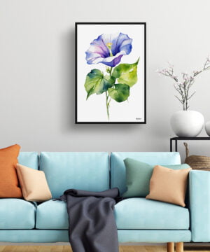 Morning Glory Blue Watercolour Botanical Art Print - Ipomoea Purpurea Minimalist Framed Plant Wall Art 15 Morning Glory Blue Watercolour Botanical Art Print - Ipomoea Purpurea Minimalist Framed Plant Wall Art - Image 2