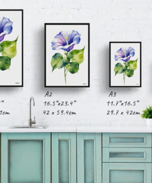 Morning Glory Blue Watercolour Botanical Art Print - Ipomoea Purpurea Minimalist Framed Plant Wall Art 17 Morning Glory Blue Watercolour Botanical Art Print - Ipomoea Purpurea Minimalist Framed Plant Wall Art - Image 4