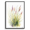 Hairawn Muhly Watercolour Botanical Art Print - Muhlenbergia capillaris Minimalist Framed Plant Wall Art 1 watercolour botanical print flowers muhlenbergia capillaris hairawn muhly minimalist front view