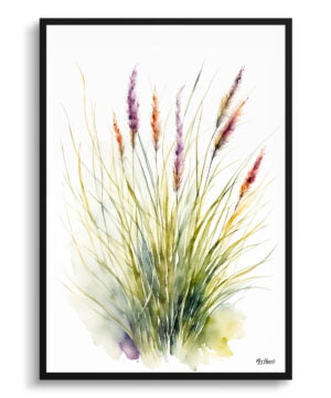 Hairawn Muhly Watercolour Botanical Art Print - Muhlenbergia capillaris Minimalist Framed Plant Wall Art