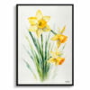Daffodil Watercolour Botanical Art Print - Narcissus Hawera Minimalist Framed Plant Wall Art 2 watercolour botanical print flowers narcissus hawera minimalist front view