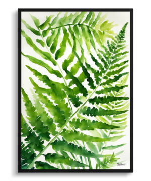 Sensitive Fern Watercolour Botanical Art Print - Onoclea Sensibilis Framed Plant Wall Art