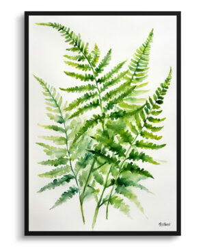 Sensitive Fern Watercolour Botanical Art Print - Onoclea Sensibilis Minimalist Framed Plant Wall Art