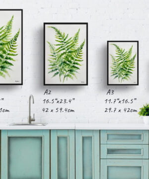 Sensitive Fern Watercolour Botanical Art Print - Onoclea Sensibilis Minimalist Framed Plant Wall Art 17 Sensitive Fern Watercolour Botanical Art Print - Onoclea Sensibilis Minimalist Framed Plant Wall Art - Image 4