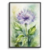 Cotton Scotch thistle Watercolour Botanical Art Print - Onopordum Acanthium Framed Plant Wall Art 1 watercolour botanical print flowers onopordum acanthium front view