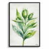 Cotton Scotch thistle Watercolour Botanical Art Print - Onopordum Acanthium Minimalist Framed Plant Wall Art 2 watercolour botanical print flowers onopordum acanthium minimalist front view