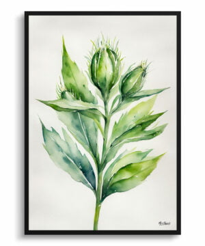 Cotton Scotch thistle Watercolour Botanical Art Print - Onopordum Acanthium Minimalist Framed Plant Wall Art