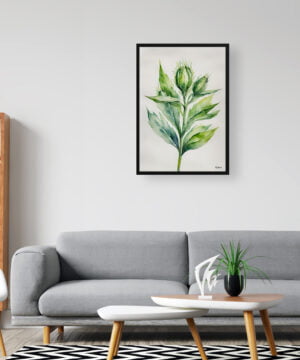 Cotton Scotch thistle Watercolour Botanical Art Print - Onopordum Acanthium Minimalist Framed Plant Wall Art 16 Cotton Scotch thistle Watercolour Botanical Art Print - Onopordum Acanthium Minimalist Framed Plant Wall Art - Image 3