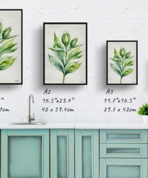 Cotton Scotch thistle Watercolour Botanical Art Print - Onopordum Acanthium Minimalist Framed Plant Wall Art 17 Cotton Scotch thistle Watercolour Botanical Art Print - Onopordum Acanthium Minimalist Framed Plant Wall Art - Image 4