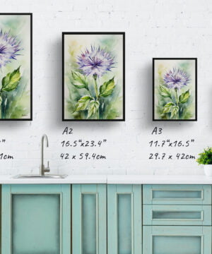 Cotton Scotch thistle Watercolour Botanical Art Print - Onopordum Acanthium Framed Plant Wall Art 17 Cotton Scotch thistle Watercolour Botanical Art Print - Onopordum Acanthium Framed Plant Wall Art - Image 4