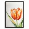 Orange tulip Watercolour Botanical Art Print - Tulipa Framed Plant Wall Art 2 watercolour botanical print flowers orange tulip front view