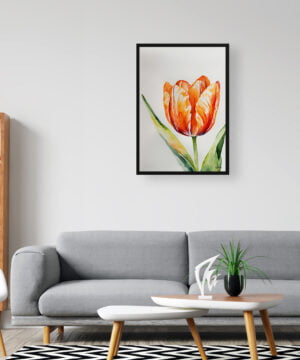 Orange tulip Watercolour Botanical Art Print - Tulipa Framed Plant Wall Art 16 Orange tulip Watercolour Botanical Art Print - Tulipa Framed Plant Wall Art - Image 3