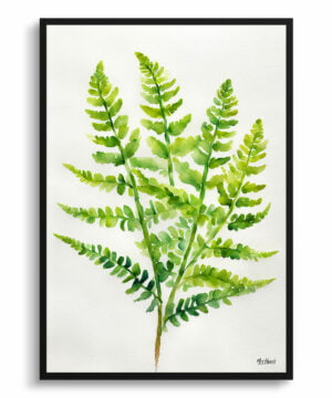 Royal fern Watercolour Botanical Art Print - Osmunda Regalis Minimalist Framed Plant Wall Art