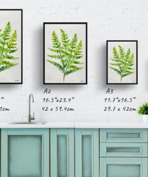 Royal fern Watercolour Botanical Art Print - Osmunda Regalis Minimalist Framed Plant Wall Art 17 Royal fern Watercolour Botanical Art Print - Osmunda Regalis Minimalist Framed Plant Wall Art - Image 4
