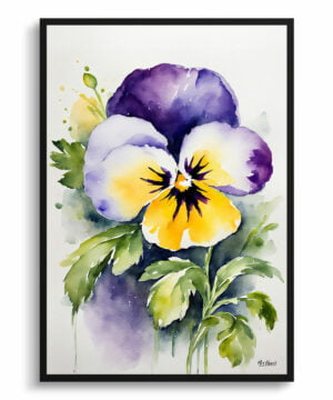 Pansy Heartsease Watercolour Botanical Art Print - Viola Framed Plant Wall Art
