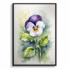 Pansy Heartsease Watercolour Botanical Art Print - Minimalist Viola Framed Plant Wall Art 2 watercolour botanical print flowers pansy minimalist front view