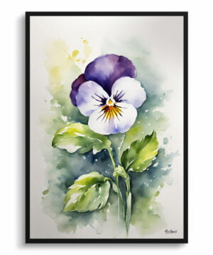 Pansy Heartsease Watercolour Botanical Art Print - Minimalist Viola Framed Plant Wall Art