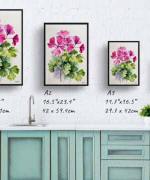 Pink Geranium Watercolour Botanical Art Print - Minimalist Framed Plant Wall Art 17 Pink Geranium Watercolour Botanical Art Print - Minimalist Framed Plant Wall Art - Image 4