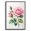 Rosa Watercolour Botanical Art Print - Pink rose Minimalist Framed Plant Wall Art 1 watercolour botanical print flowers pink rose minimalist front view