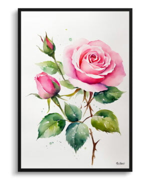 Rosa Watercolour Botanical Art Print - Pink rose Minimalist Framed Plant Wall Art