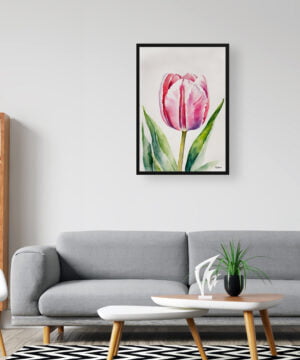 Tulipa Watercolour Botanical Art Print - Pink tulip Framed Plant Wall Art 16 Tulipa Watercolour Botanical Art Print - Pink tulip Framed Plant Wall Art - Image 3