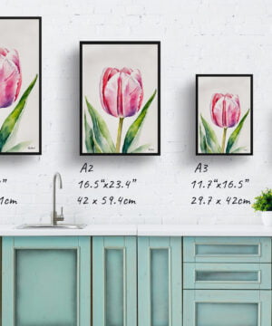 Tulipa Watercolour Botanical Art Print - Pink tulip Framed Plant Wall Art 17 Tulipa Watercolour Botanical Art Print - Pink tulip Framed Plant Wall Art - Image 4