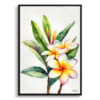 Frangipani Watercolour Botanical Art Print - Plumeria Minimalist Framed Plant Wall Art 2 watercolour botanical print flowers plumeria minimalist front view