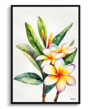 Frangipani Watercolour Botanical Art Print - Plumeria Minimalist Framed Plant Wall Art