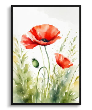 Common Flanders Watercolour Botanical Art Print - Poppy Framed Plant Wall Art