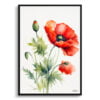 Common Flanders Watercolour Botanical Art Print - Poppy Minimalist Framed Plant Wall Art 2 watercolour botanical print flowers poppy minimalist front view