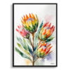 King Protea Sugarbush Watercolour Botanical Art Print - Proteas Framed Plant Wall Art 2 watercolour botanical print flowers proteas front view