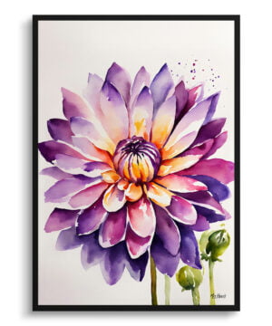 Asteraceae Watercolour Botanical Art Print - Purple and orange dahlia Minimalist Framed Plant Wall Art